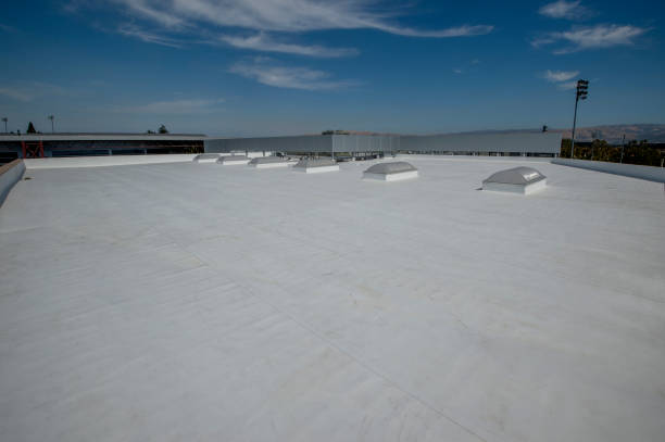 Best Roof Coating and Sealing  in Manning, IA