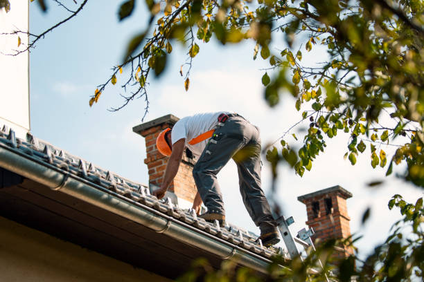 Best Rubber Roofing (EPDM, TPO)  in Manning, IA