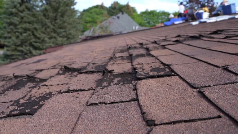  Manning, IA Roofing Service Pros