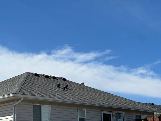 Best Asphalt Shingle Roofing  in Manning, IA